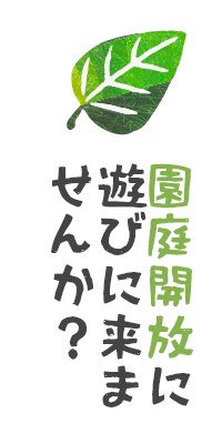 園庭開放に遊びに来ませんか？